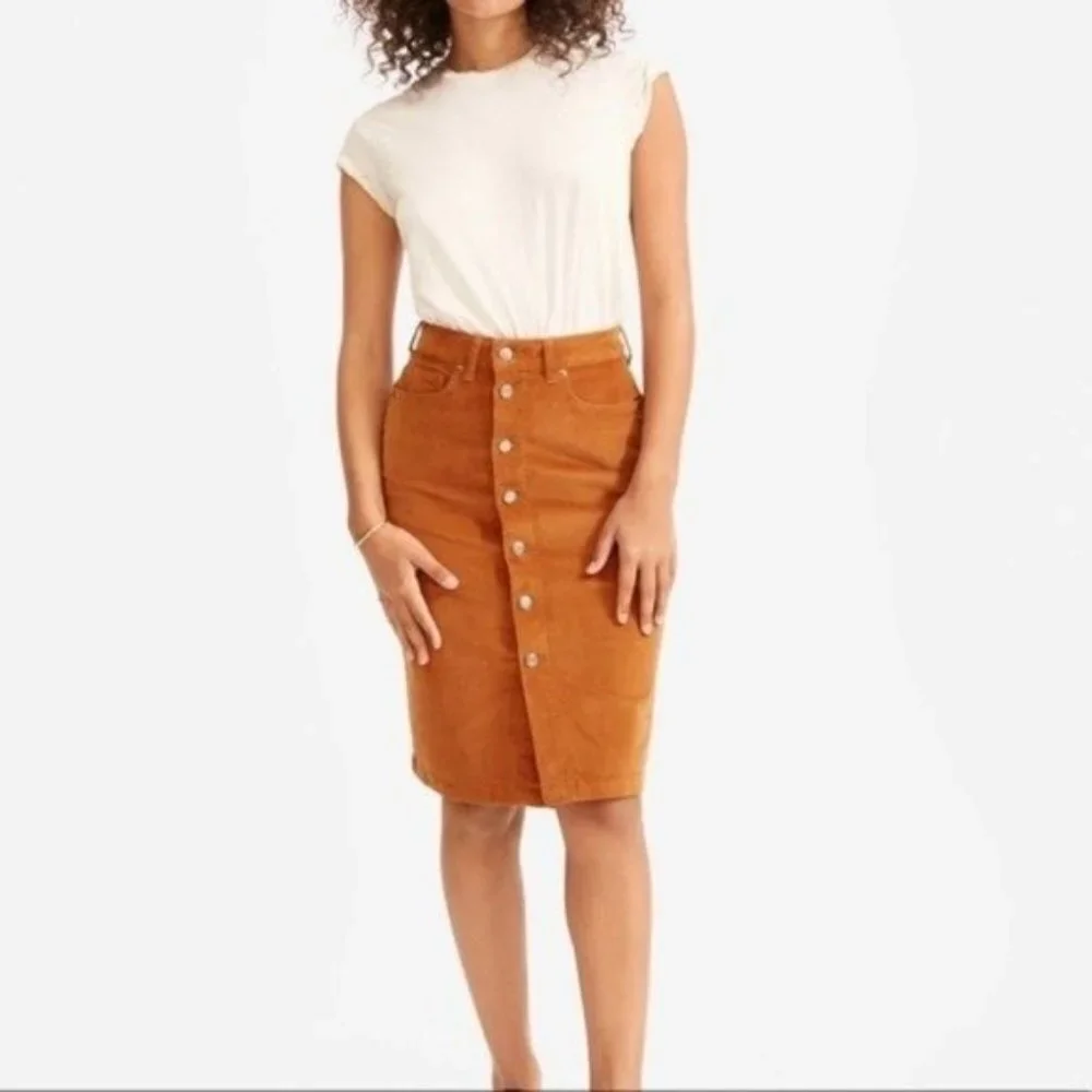 Everlane Skirt